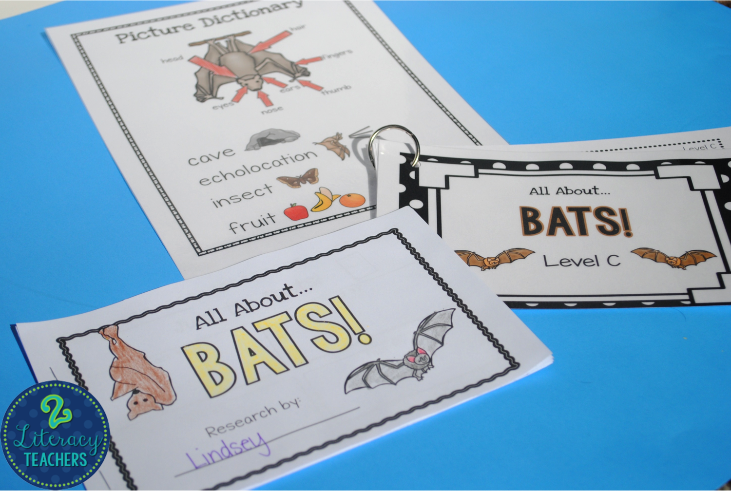 2 Literacy Teachers Bats and Spiders!!