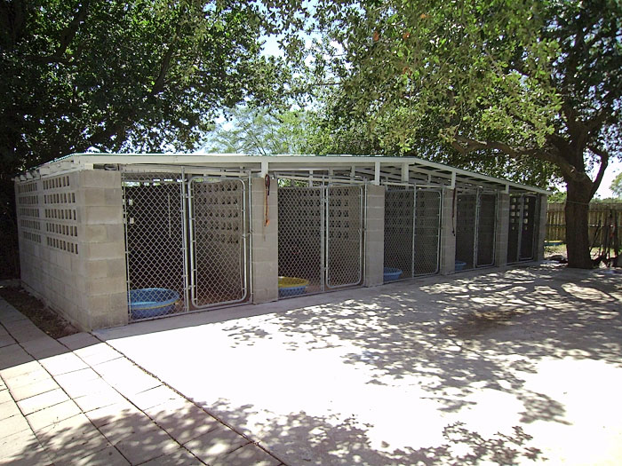 The Real APBT Dog Kennel Setups and Designs