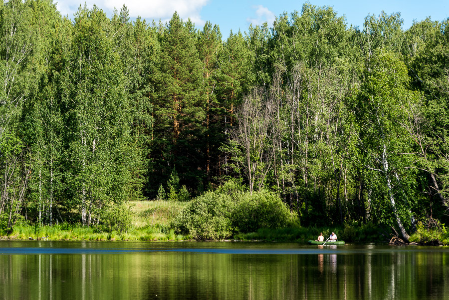 Лесами, на север (на вело, 1020 фоток)