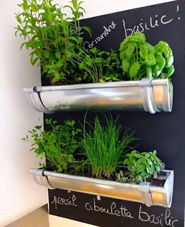 eu gosto muito de pesquisar ideias de jardinagem quase nunca dá tempo eu gosto muito de pesquisar ideias de jardinagem quase nunca dá tempo