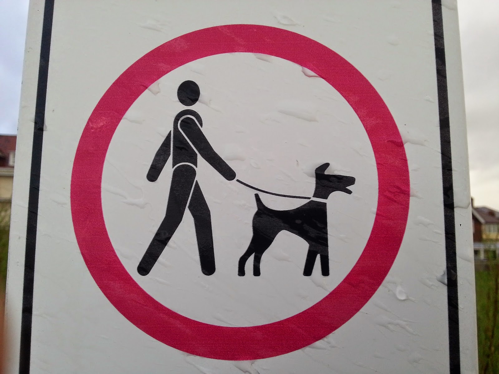 Can A Dog Be Off The Lead In U S A Can A Dog Be Off The Lead In U S A