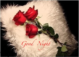 good night flirt sms for her Find love quote on friendship, love and life or submit yours. good night flirt sms for her Find love quote on friendship, love and life or submit yours.