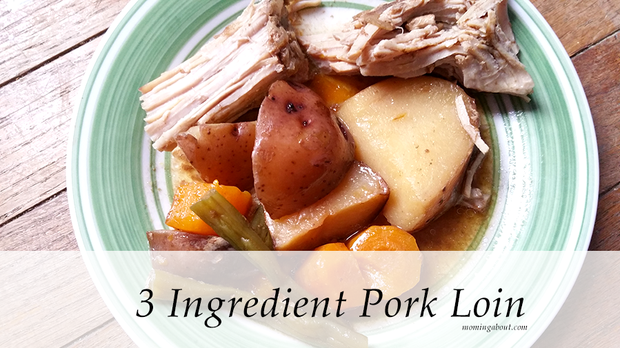 Simple 3 Ingredient Slow Cooker Pork