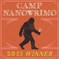 Camp 2017