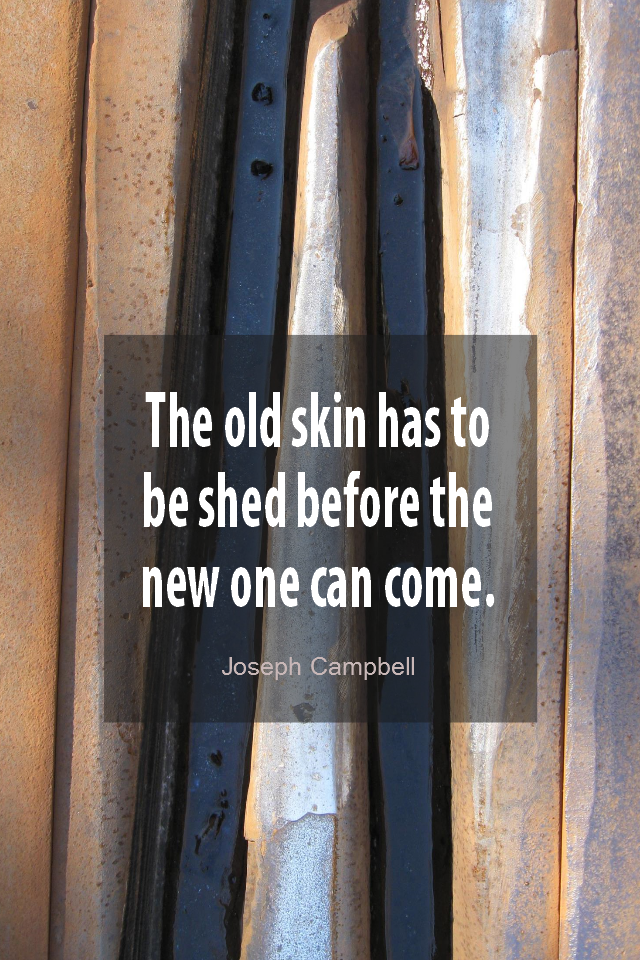 visual quote - image quotation for CHANGE - The old skin has to be shed before the new one can come. - Joseph Campbell