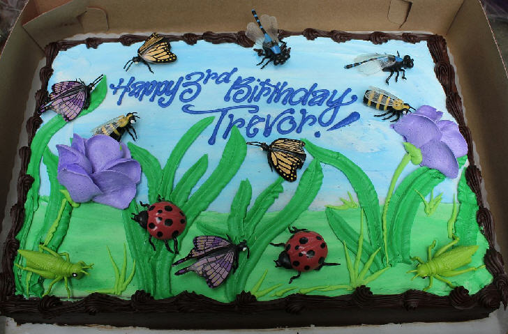 Trevor's Bug Hunt Birthday Trevor's 3rd birthday a bug Trevor's Bug Hunt Birthday Trevor's 3rd birthday a bug