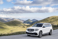 2017-Mercedes-GLS-40.jpg