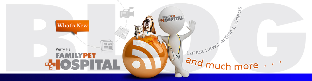 Family Pet Hospital Blog