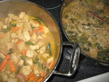 Curried Pork Stew and Brown Basmati w/Garam Masala