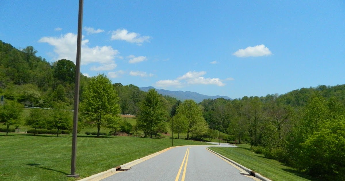 Lise's Log Cabin Life Greening Up the Mountains