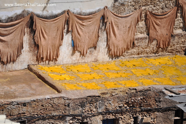 Pottery and Tannery of Fes, Morocco