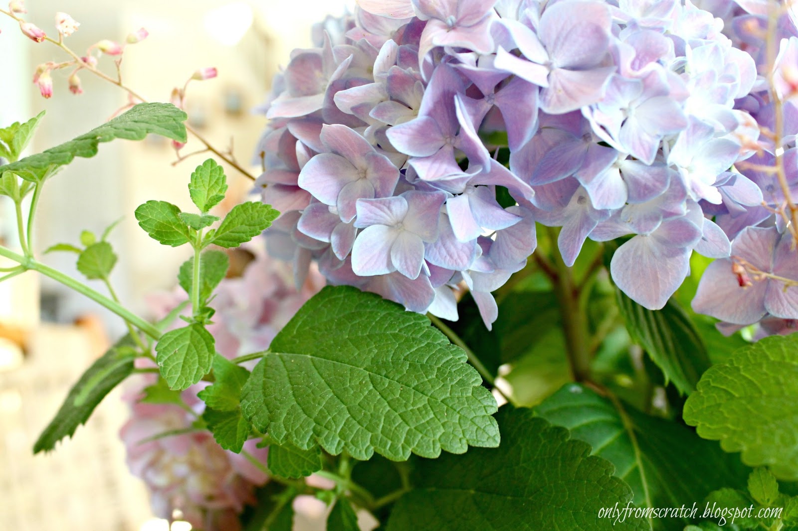 Only From Scratch Beautiful Ways to Arrange Hydrangeas