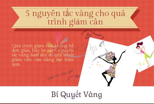 5 nguyên tắc vàng cho quá trình giảm cân nhanh - an toàn 5 nguyên tắc vàng cho quá trình giảm cân nhanh - an toàn
