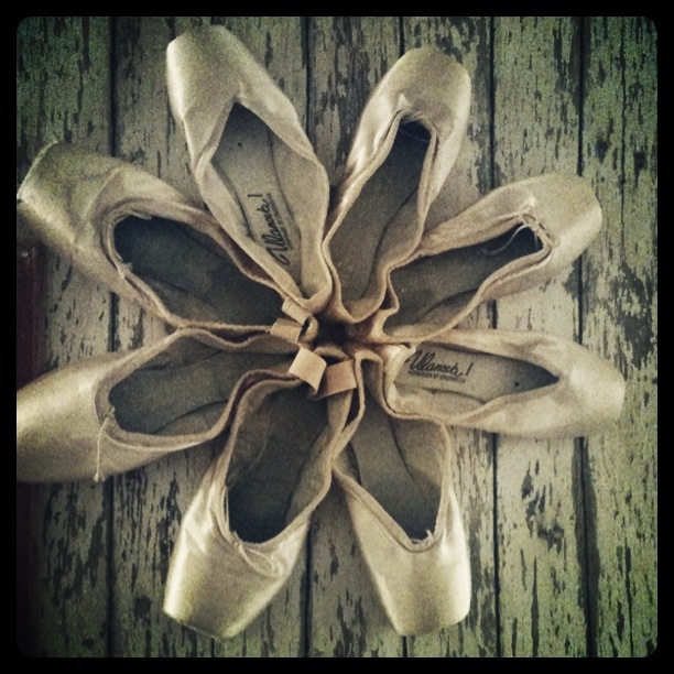 Dd Tutorial Pointe Shoe Love { DIYdancer } Magazine