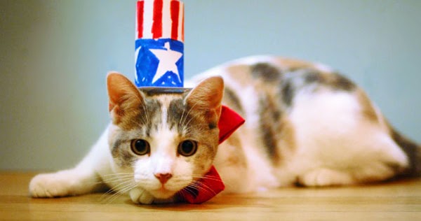 It's Teen Stuff: Animals Going Patriotic with American Flags