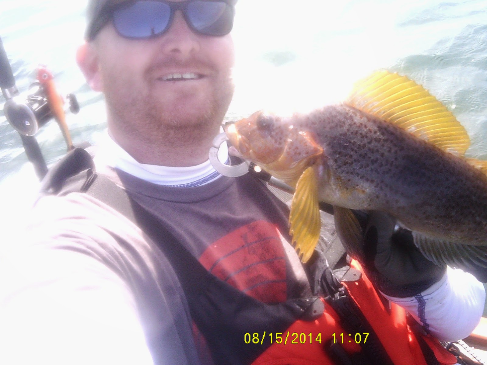 Estero Bay Kayak Fishing Constantine's Buoy 8/15/14