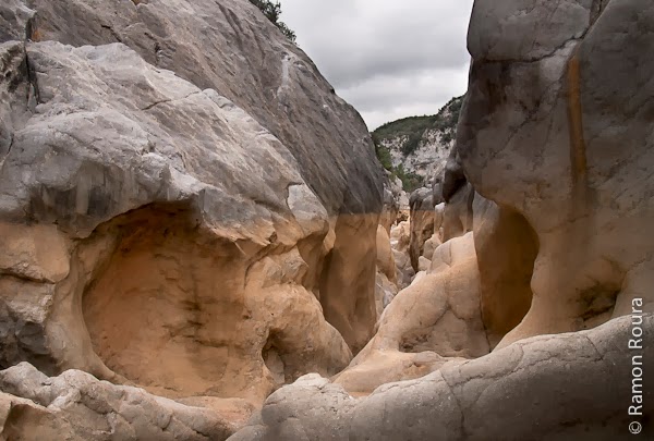 Sadernes. Olles de la riera d'Escales