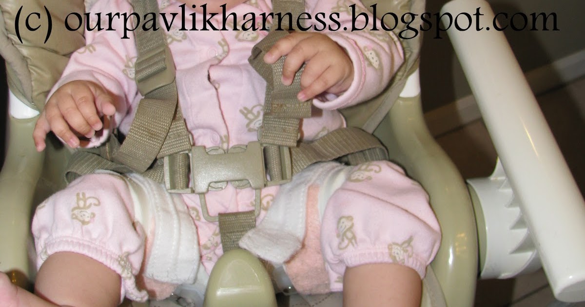 Our Pavlik Harness and journey with Hip Dysplasia Rhino activities