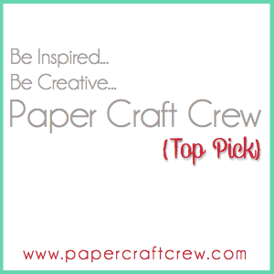 Paper Craft Crew