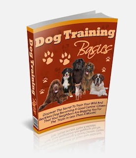 Dog Training Basics Dog Training Basics