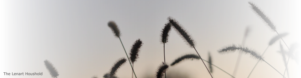 The Lenart Household