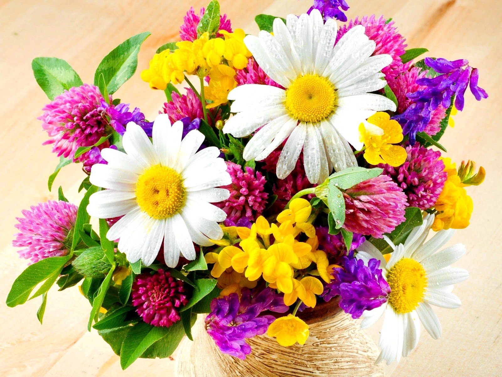 Beautiful Fresh Flowers ~ Flowers Wallpapers