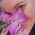 Licavargas avatar