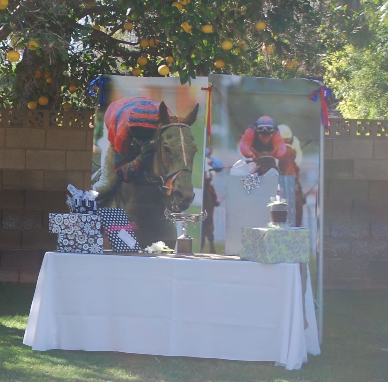 Tying the KNOT The BRIDAL Shower Setup & Decor
