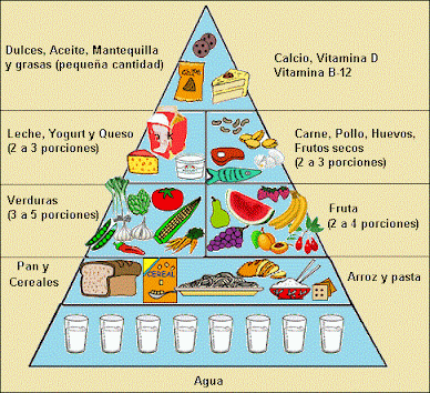 PIRÁMIDE ALIMENTICIA