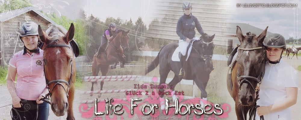 Life For Horses