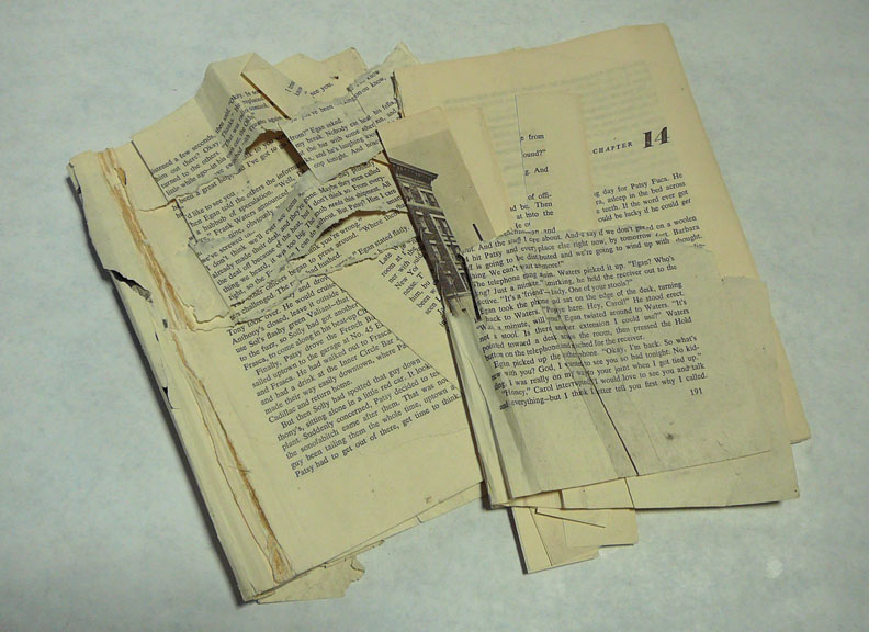 Making Handmade Books Altered Text and Jacob's Ladders