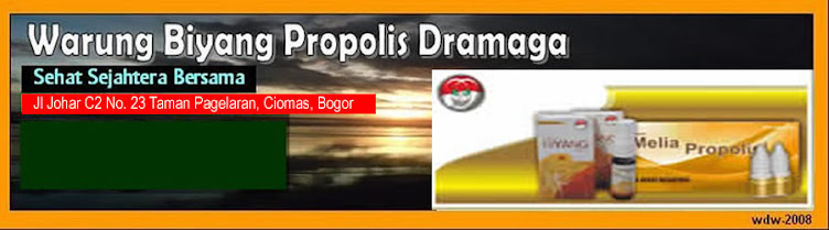 Bogor Dramaga Agency Blog