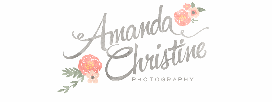     THE BLOG: Amanda Christine Photography