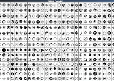 TREES PLAN CAD BLOCKS free download