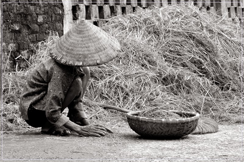 Image%20result%20for%20Túi%20Gạo%20Của%20Mẹ%20-%20Thy%20Lan%20diễn%20đọc%20|%20Nghe%20Truyệ