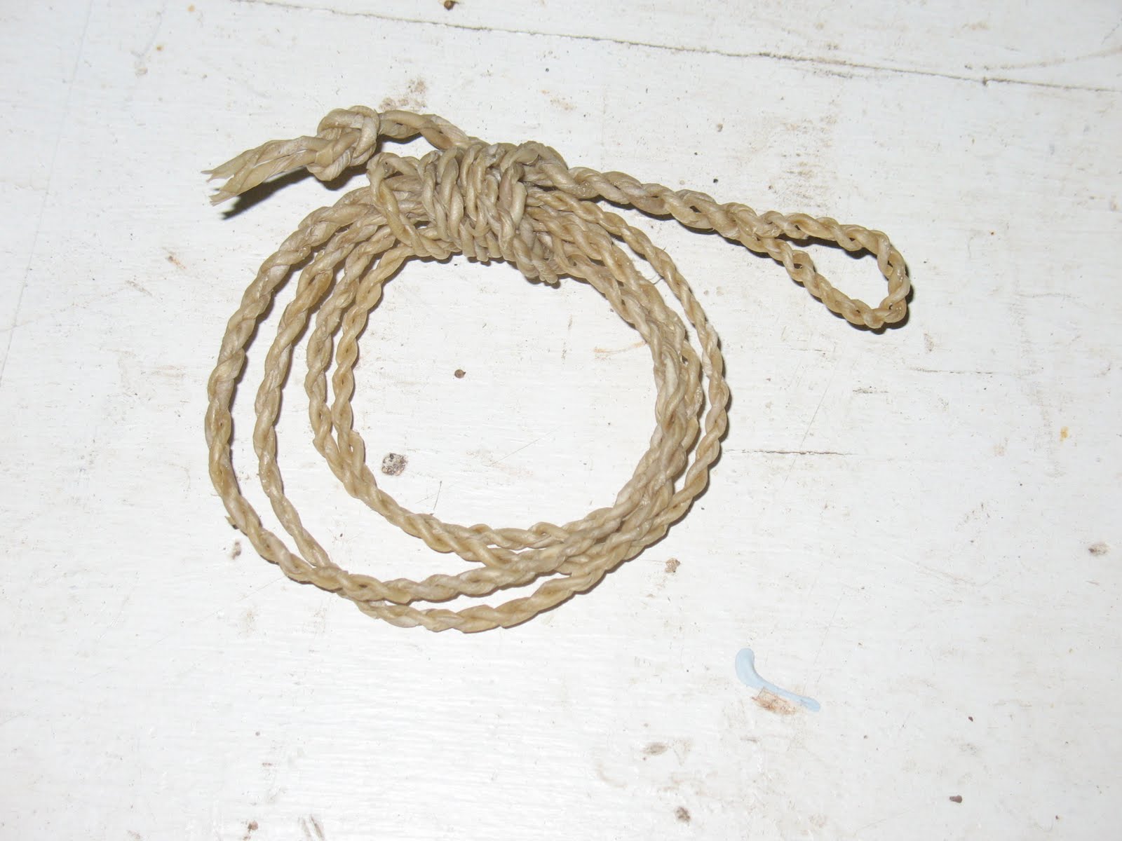 Sensible Survival Making Rawhide