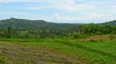 Puncak Ponjuk Puncak Ponjuk