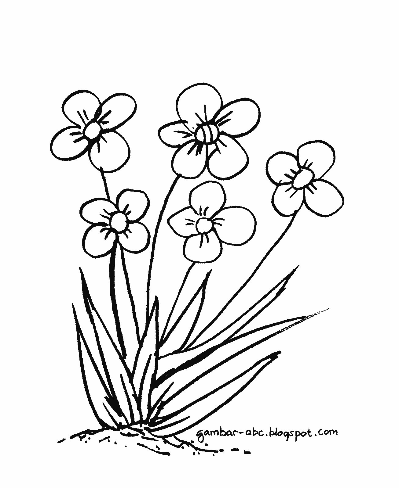 Gambar Mewarnai Bunga Rumput