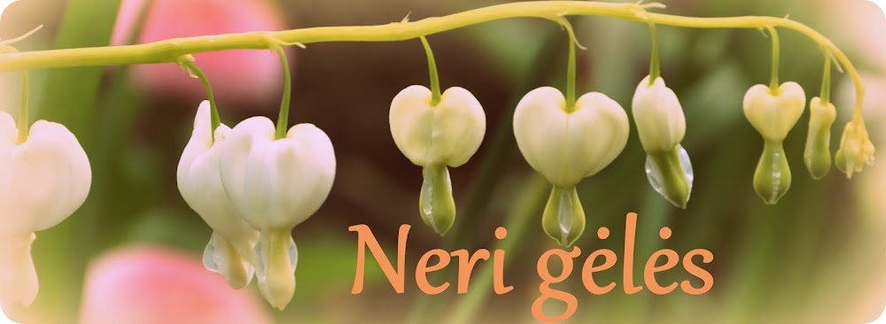 Neri gėlės