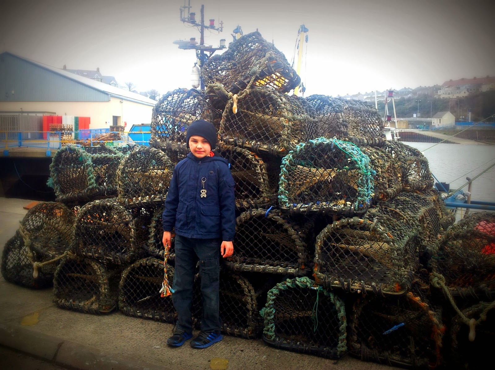 Milford HavenThe Docks Lobster Pots and Hermit Crabs Diary of the