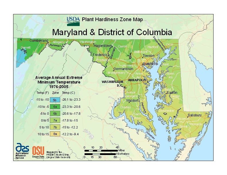 A View from the Beach USDA Shifts Plant Zones