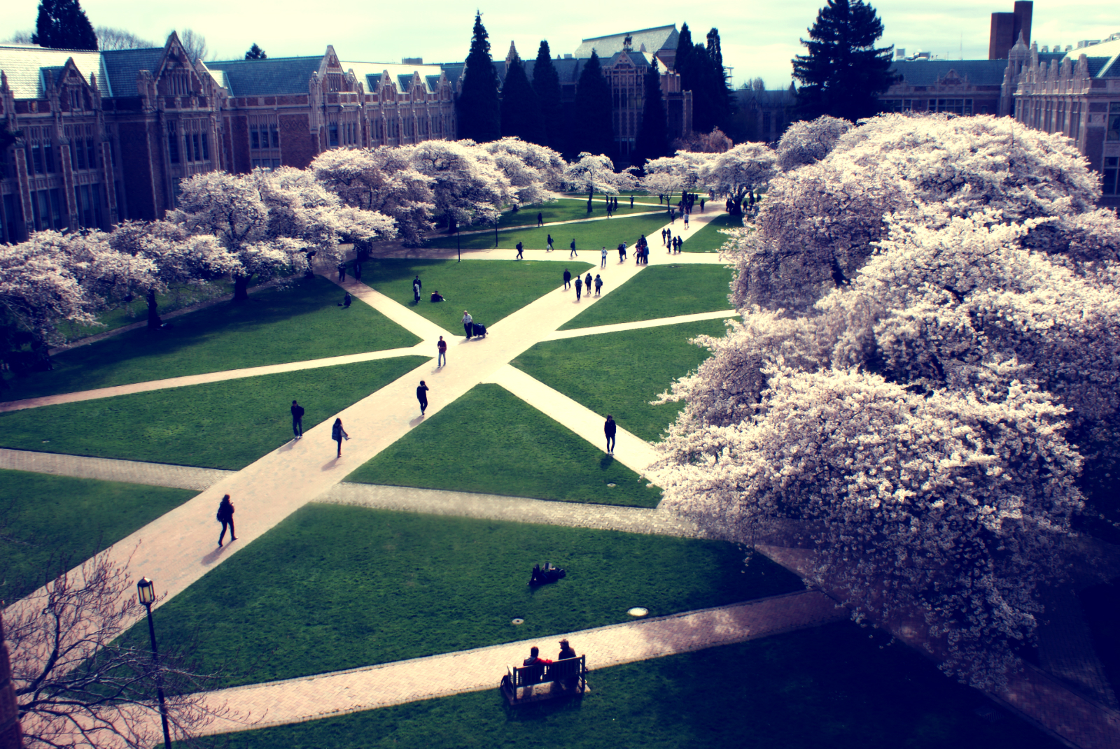 University of Washington, one of the oldest universities on the west