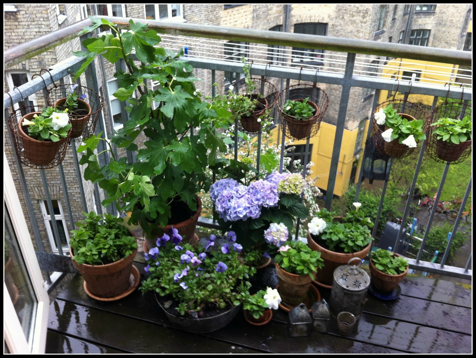 Ninas altanhave en krukkehave midt i byen Altan blomster