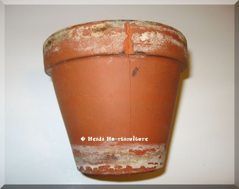 Heidi Horticulture Don't Throw Out Broken Clay Pots! Part 1