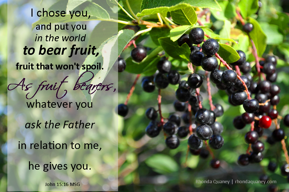 CROSSroads To Recovery Bear fruit where you are planted