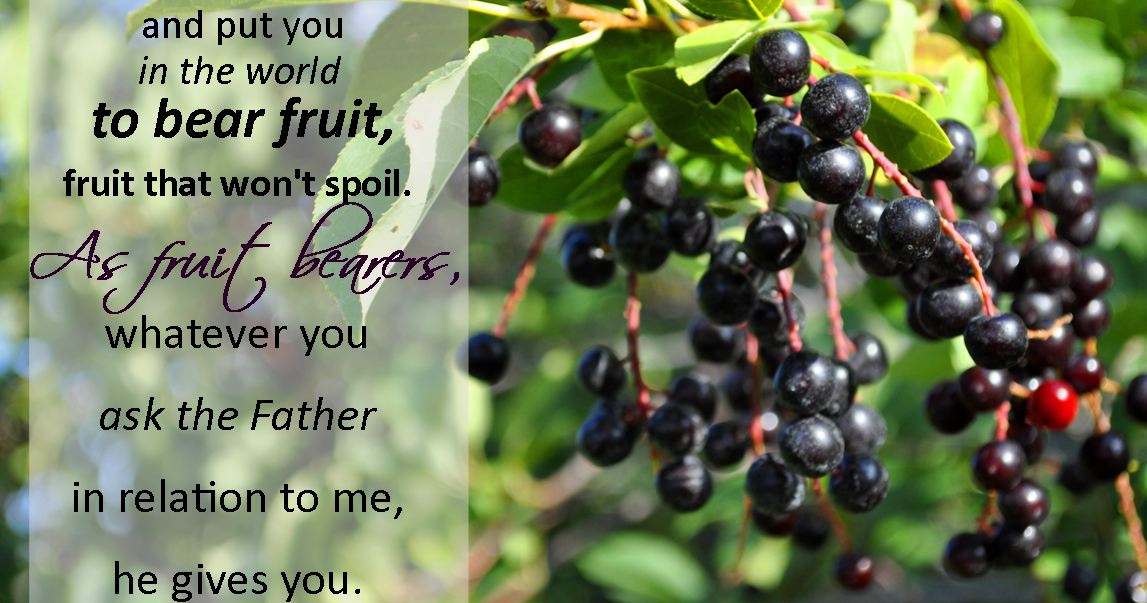 CROSSroads To Recovery Bear fruit where you are planted