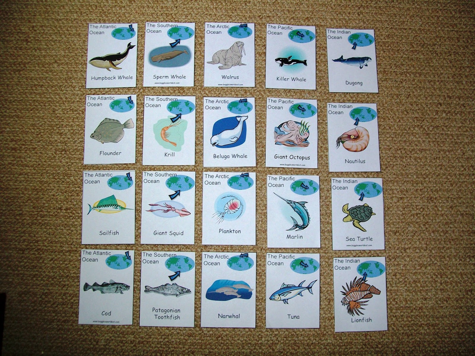 The Earth: Endangered Species & Habitats - Every Star Is Different