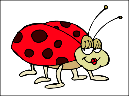 Ladybug Photos