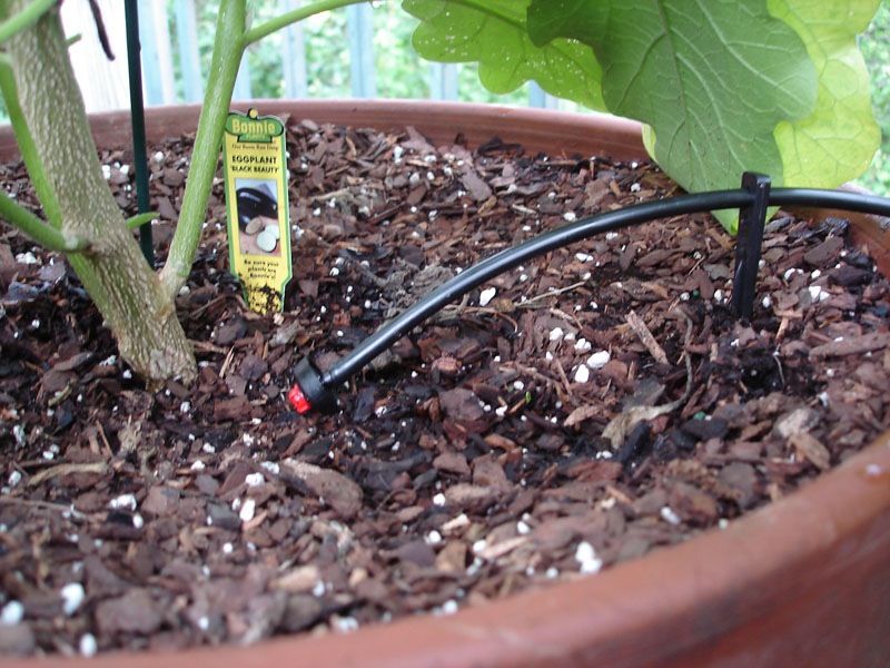 Wiese Acres: Container Gardens - Watering Properly