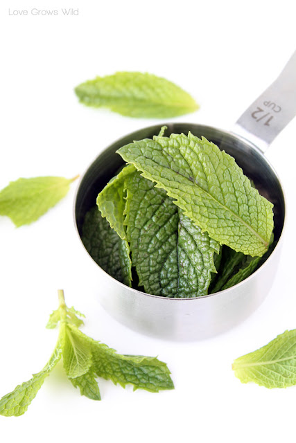 Mint Sugar is perfect to sprinkle on fresh fruit, rim cocktail glasses, or stir into tea or lemonade! Get the recipe at LoveGrowsWild.com